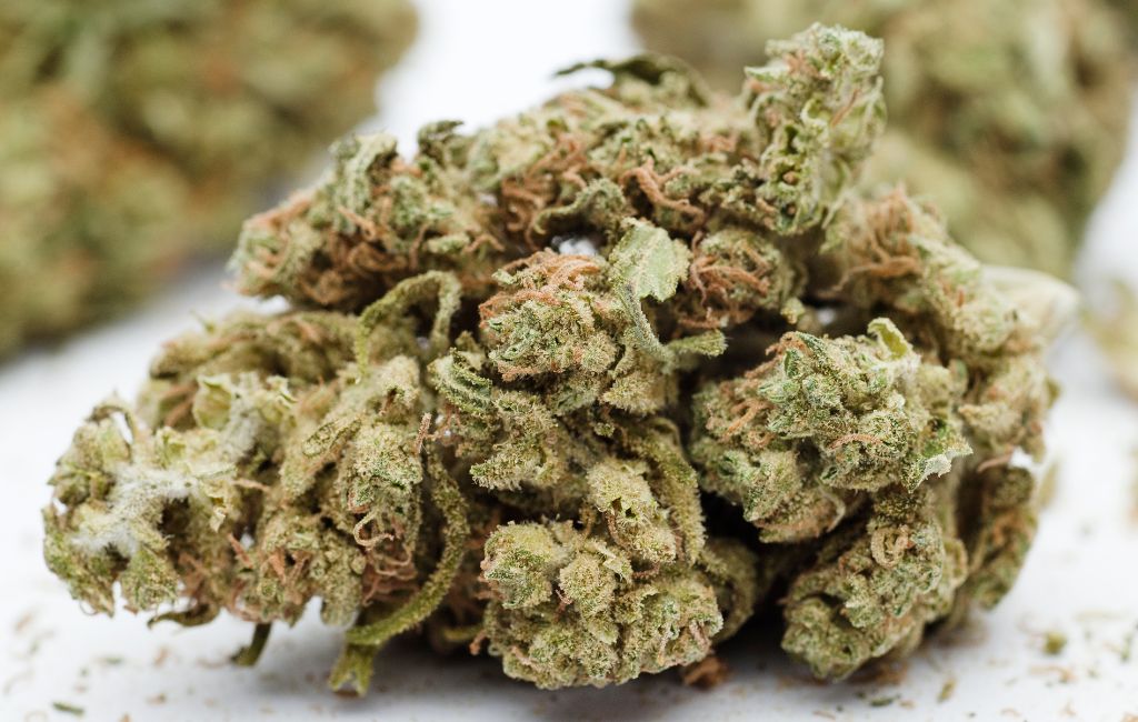 Ice Cream Cookies THCa Flower Calm